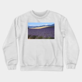 Lavander in Provence Crewneck Sweatshirt